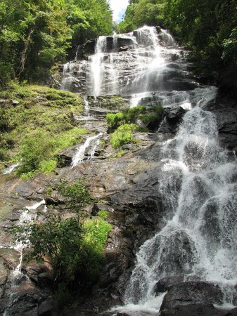 base-of-the-falls-trail